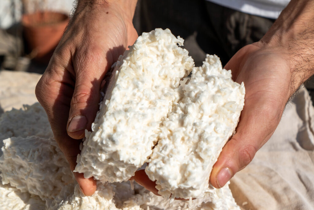 Nuestra historia con el koji (y por qué no podemos dejar de usarlo)