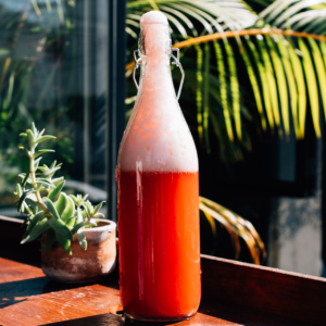 Bebida Fermentada, Soda