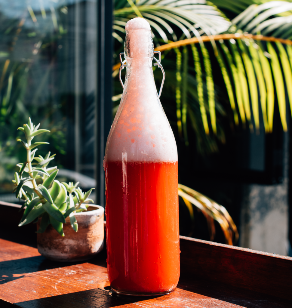 Bebida Fermentada, Soda