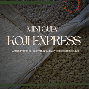 Mini Guía Koji Express | Recetario PDF | Cultum Fermentos