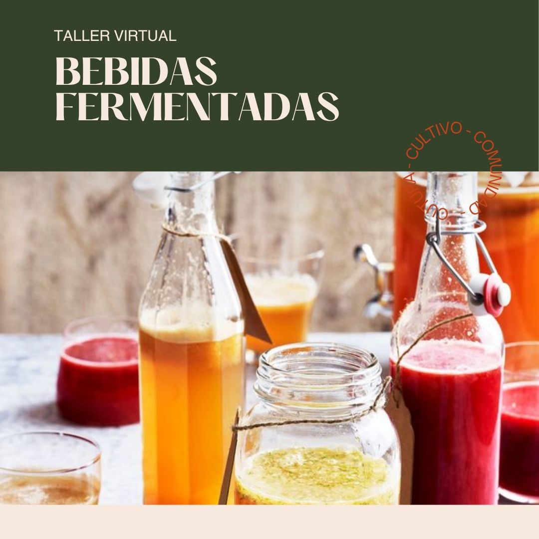 Taller Bebidas Fermentadas Tradicionales