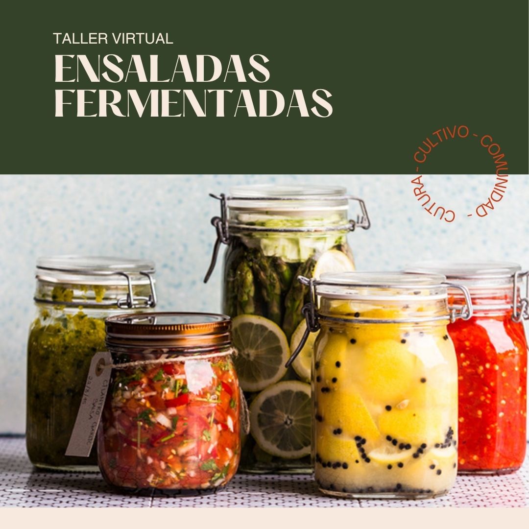 Taller Ensaladas Fermentadas