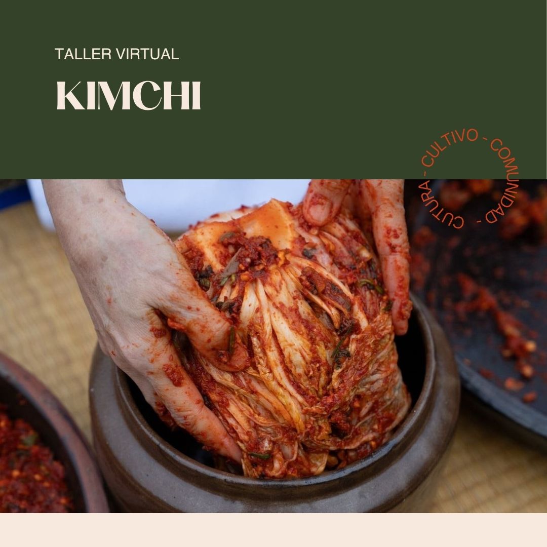 Taller Kimchis (Grabación de sesión de Zoom + Recetario PDF) | Cultum Fermentos