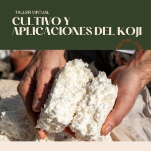 Taller Koji: Cultivo y Aplicaciones