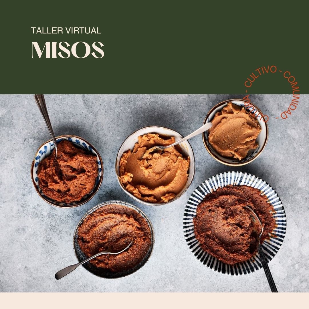 Taller Misos Tradicionales y Contemporáneos (Grabación de sesión de Zoom + Recetario PDF) | Cultum Fermentos