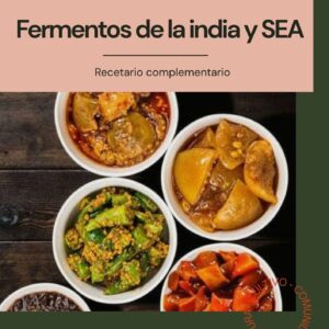Mini Guía Fermentos de la India y SEA | Recetario PDF | Cultum Fermentos