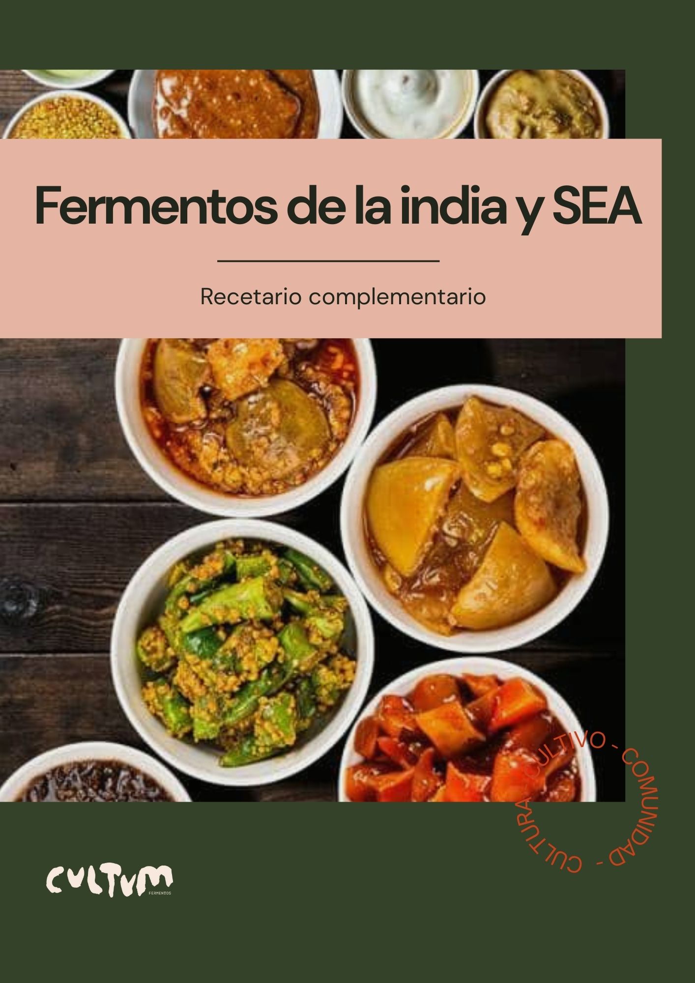 Mini Guía Fermentos de la India y SEA | Recetario PDF | Cultum Fermentos