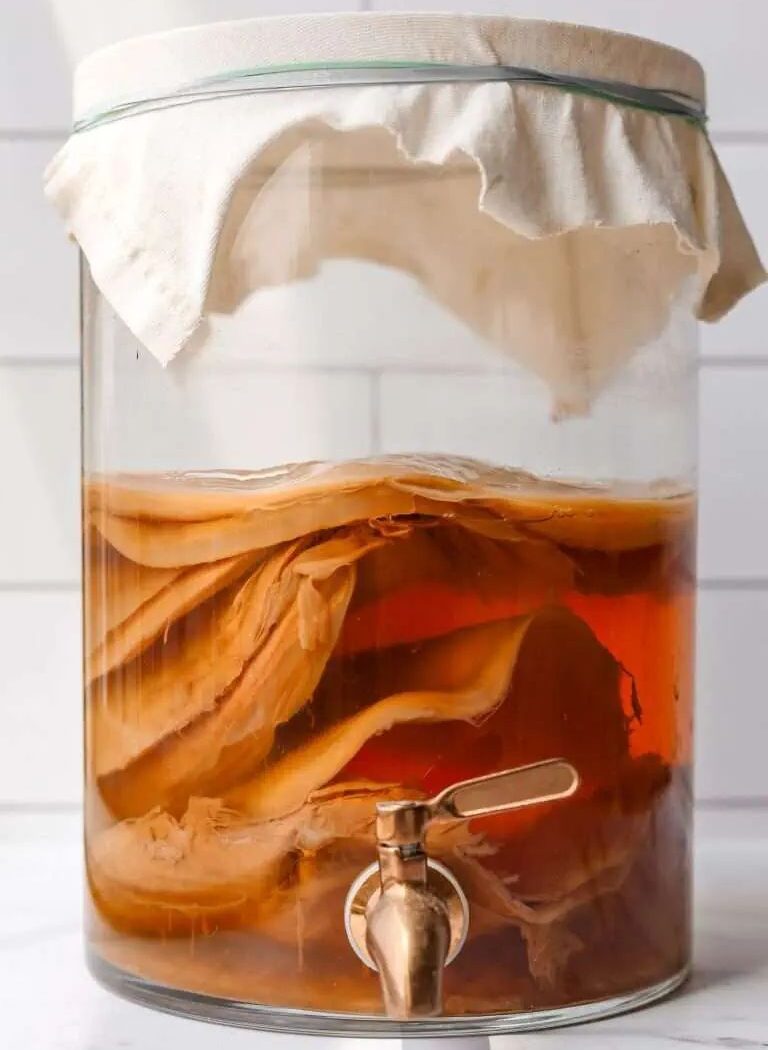 Taller SCOBYs: Kefir y Kombucha