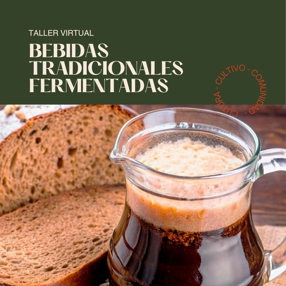 Taller Bebidas Fermentadas Tradicionales