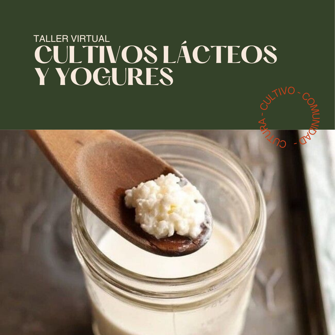 Taller Cultivos Lácteos y Yogures