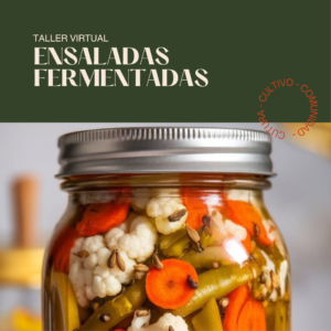 Taller Ensaladas Fermentadas