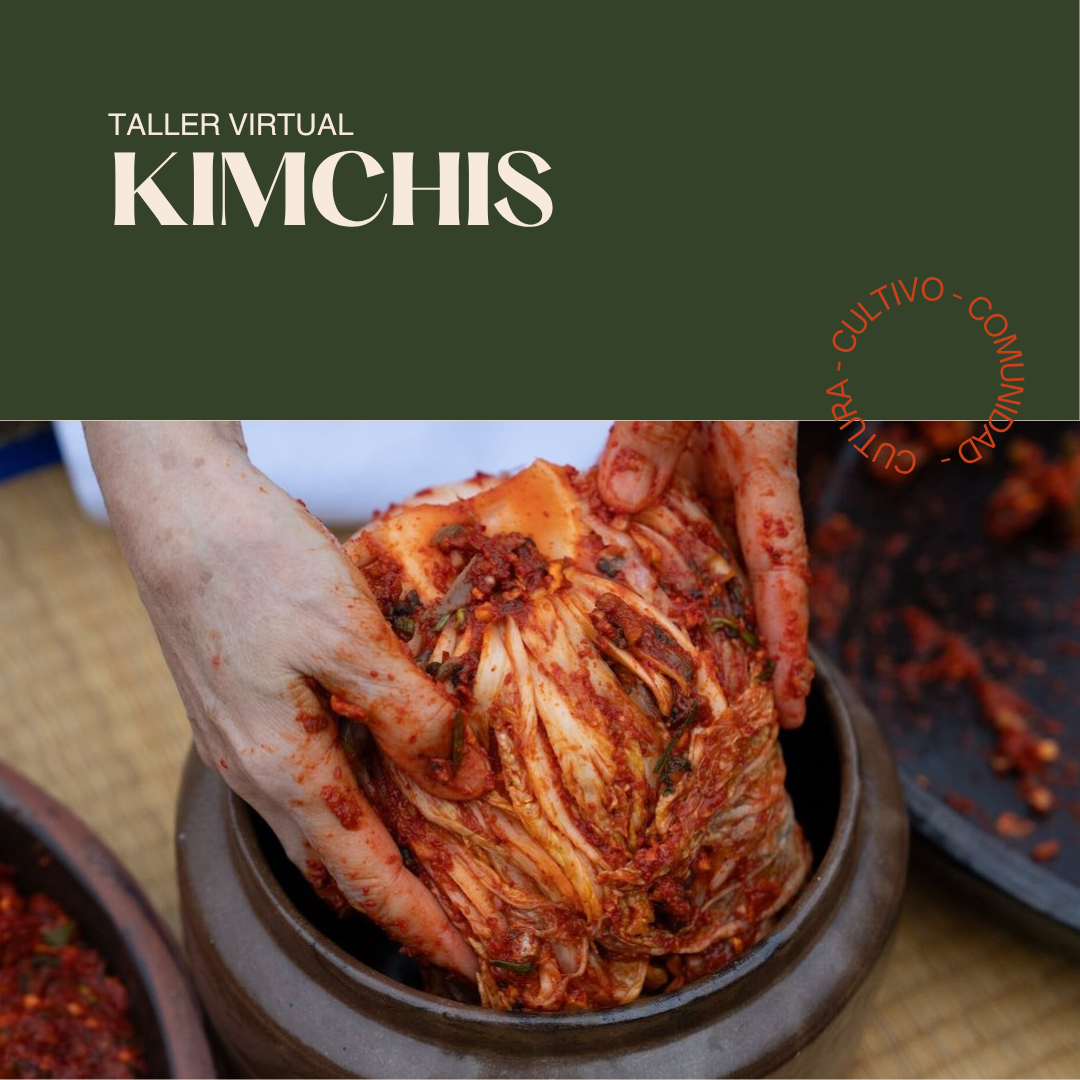 Taller Kimchis