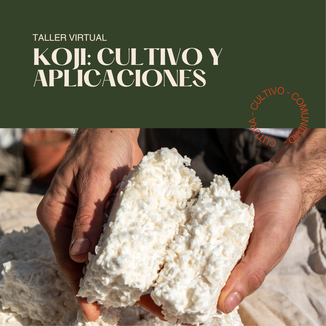 Taller Koji: Cultivo y Aplicaciones