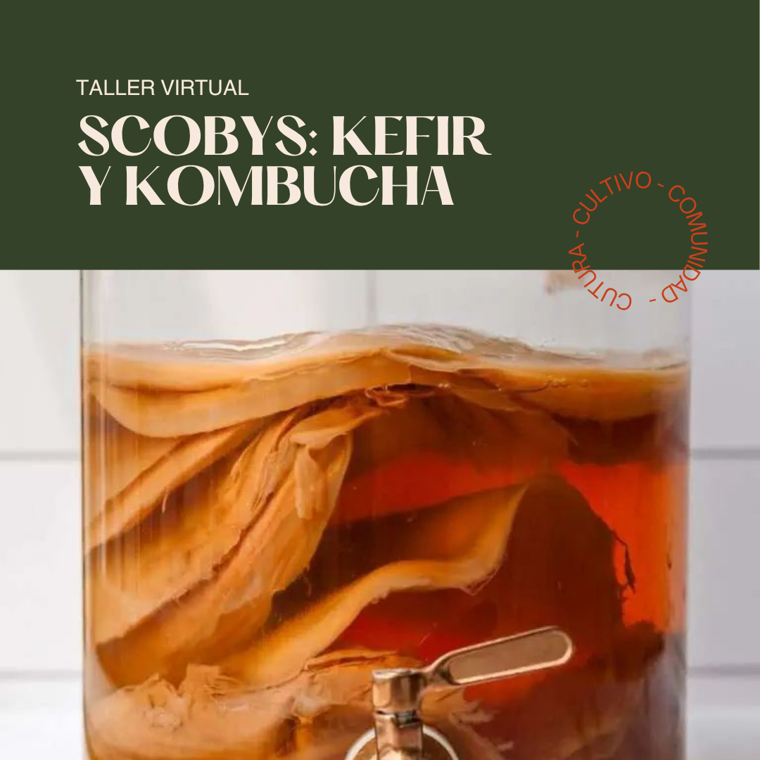 Taller SCOBYs: Kefir y Kombucha