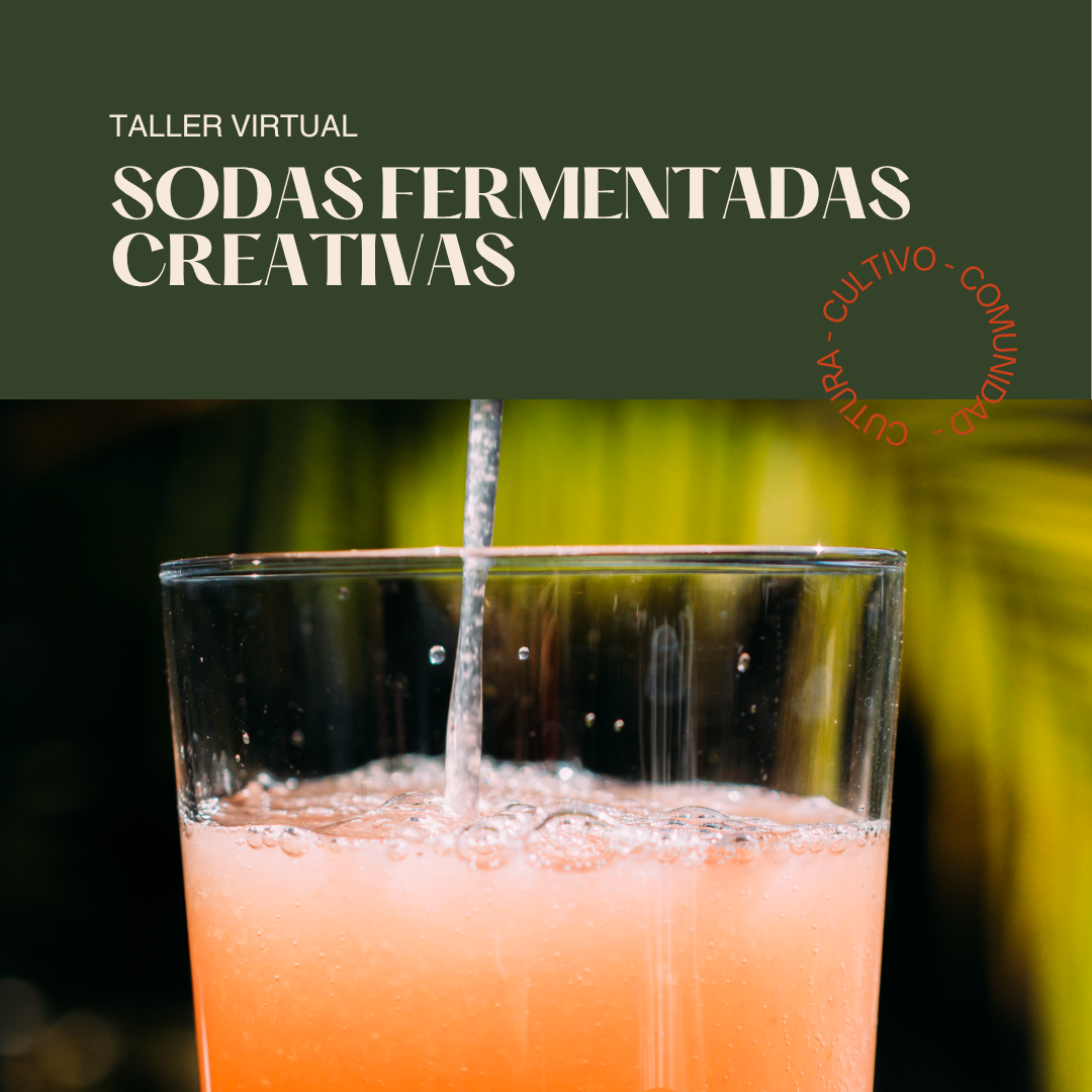Taller Sodas Fermentadas Creativas