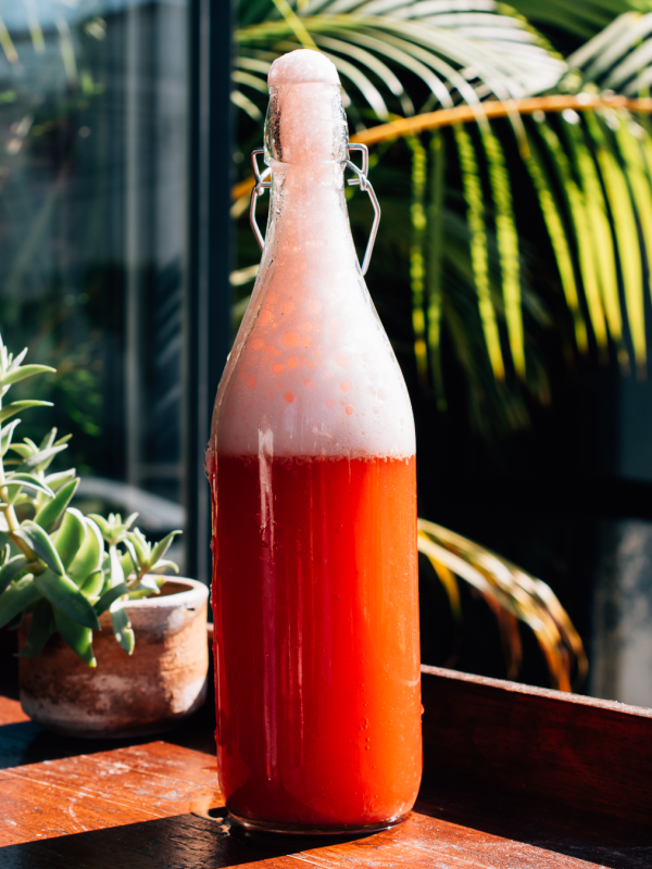 Bebida Fermentada, Soda